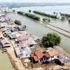 Kampung Dolar Muara Gembong: Kisah Kejayaan Tambak Udang yang Kini Terancam Abrasi