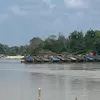 Krisis Ekosistem: Tambang Emas Ilegal Marak di Sungai Kuantan Riau