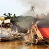 Aksi Nyata Polsek Cerenti Bakar Lima Rakit Emas Ilegal di Sungai Kuantan