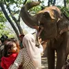 Hari Gajah Sedunia, Semarang Zoo Titip Pesan Lewat Zella