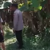 Dukung Asta Cita Presiden, Polsek Rembang Dampingi Petani Pisang Cavendish