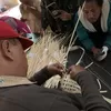 Yang Ditanam Bukan Sekadar Bambu, Melainkan Kepercayaan