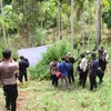 Polres Lhokseumawe Musnahkan Ladang Ganja Seluas 4 Hektare, Belasan Ribu Batang Tanaman Ganja Dimusnahkan