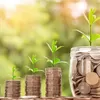 Apa itu Investasi, Keamanan dan Risiko 
