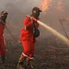 Kutai Kartanegara dan Paser Membara, BNPB Kerahkan Armada Udara di 6 Provinsi Prioritas Karhutla