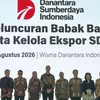 DSI Resmi Beroperasi: Rosan Bidik Potensi Optimalisasi Ekspor SDA USD 5 Miliar per Tahun