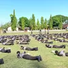 Seharian Ditempa di Lapangan, Ketarunaan SMKN 1 Jenar Digembleng Babinsa