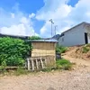 Huntap Lewotobi Tersendat: Dokumen Lahan Mandek di Kanwil NTT, Pemkab Flores Timur Desak Percepatan