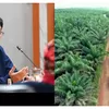 Modus  Ekspor Sumber Daya Alam Indonesia Terkuak Usai Presiden Prabowo Singgung Underinvoicing dan Transfer Pricing di Rapat Paripurna DPR RI