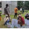  Manfaatkan Galon Bekas, Hidroponik Sistem Sumbu Dorong Urban Farming Ramah Lingkungan