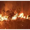 Karhutla Mengganas di Kalimantan, Puluhan Hektare Lahan Terbakar dan Titik Api Bermunculan