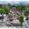 Gempa M 7,7 Flores: 103 Orang Meninggal, 185.131 Warga Masih Mengungsi