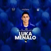 Persib Datangkan Winger Jebolan Timnas Bosnia Herzegovina untuk Musim 2026/27