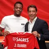 Jhon Duran Bergabung dengan Benfica, Jadi Klub Ketujuh dalam Kariernya