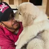 Lewis Hamilton Temukan Anjing Baru Pengganti Roscoe