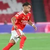 Newcastle United Rampungkan Transfer Amar Dedic dari Benfica