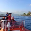 CEK FAKTA! Penumpang KMP Pranitha Nekat Cebur Diri di Perairan Selat Bali
