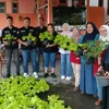 Kolaborasi SPPG dan KWT Dorong Ketahanan Pangan serta Tingkatkan Ekonomi Warga Desa Licin