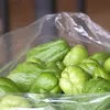 Petani Milenial Cibubut Sumedang Raup Jutaan Rupiah dari Labu Siam
