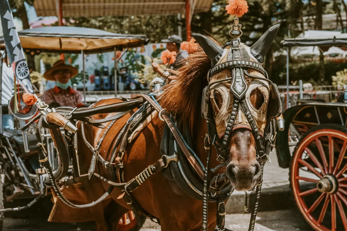 Photo by Mitchell Soeharsono on Pexels