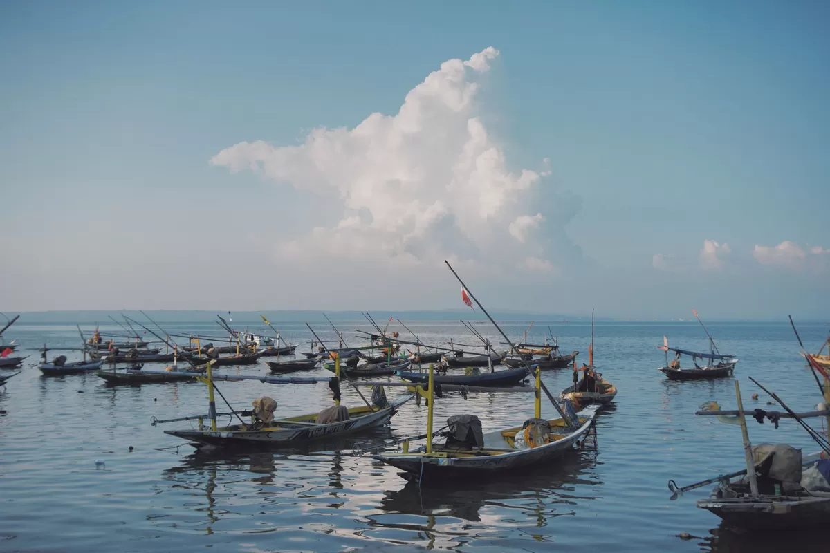 Photo by arif wijaya on Pexels