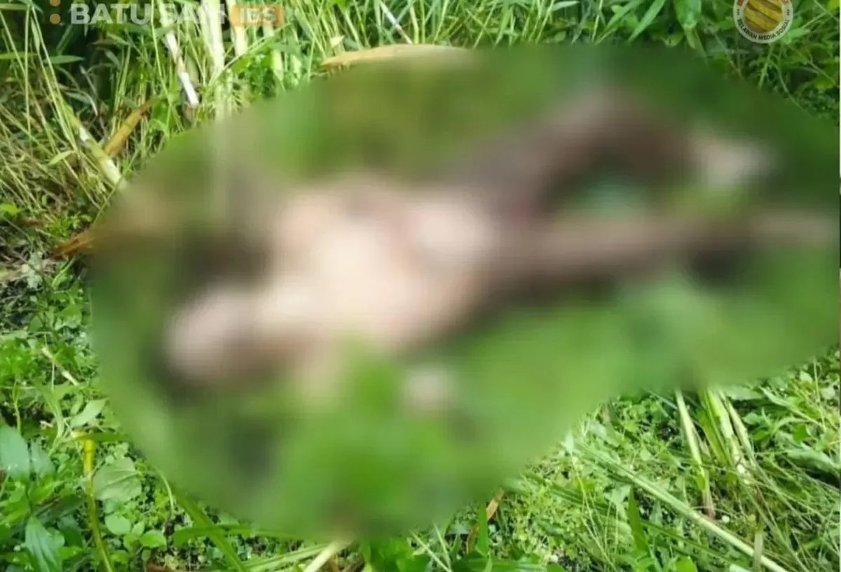 Dari Kaki Gunung Kawi Hingga Tebing Coban Manan: Mengurai Misteri Kematian Beruntun di Tengah Amukan Cuaca Ekstrem Pujon