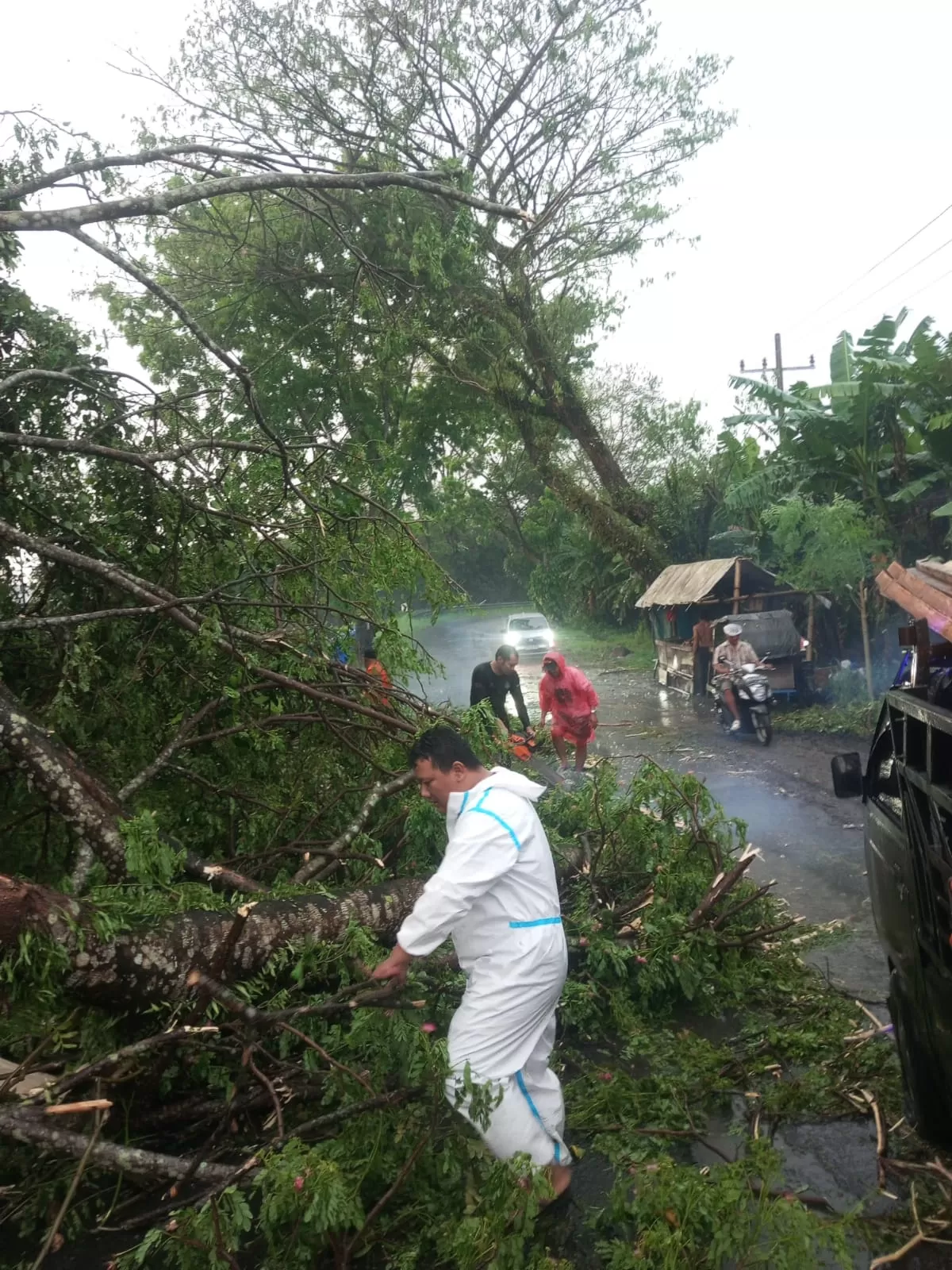Rumah warga di Kota Binjai, Sumatera Utara, rusak akibat angin kencang. Sebanyak 22 unit rumah terdampak dengan kategori rusak berat, sedang, dan ringan.