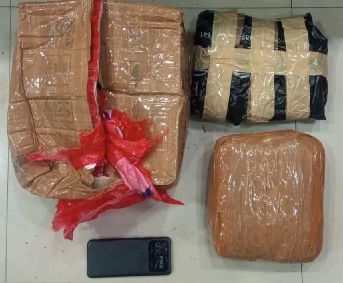 Barang bukti ganja yang diamankan Polda Metro Jaya