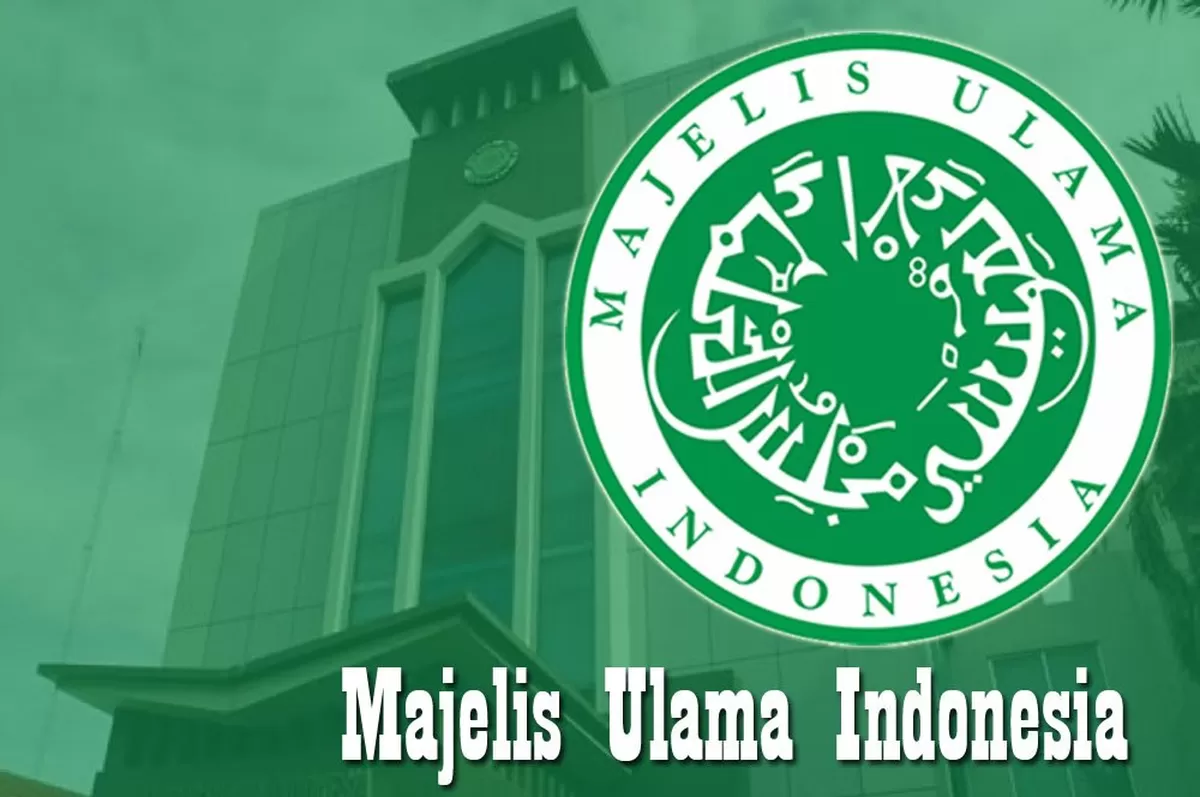 Logo MUI