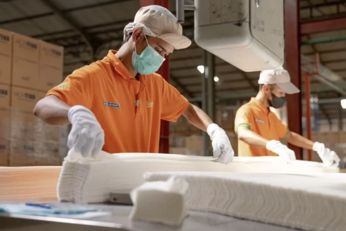 PT Sun Paper Source Membuka Loker Terbaru