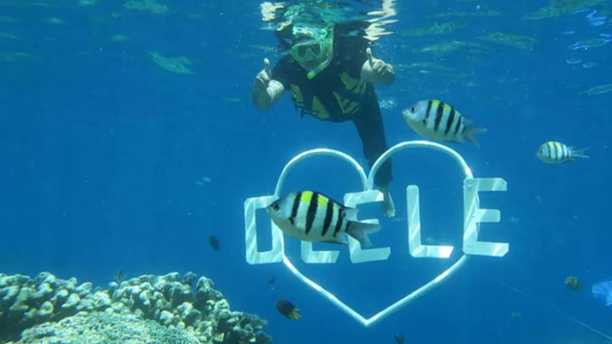 Olele Taman Laut Olele, Surga Tersembunyi di Sulawesi yang Wajib Dikunjungi ...