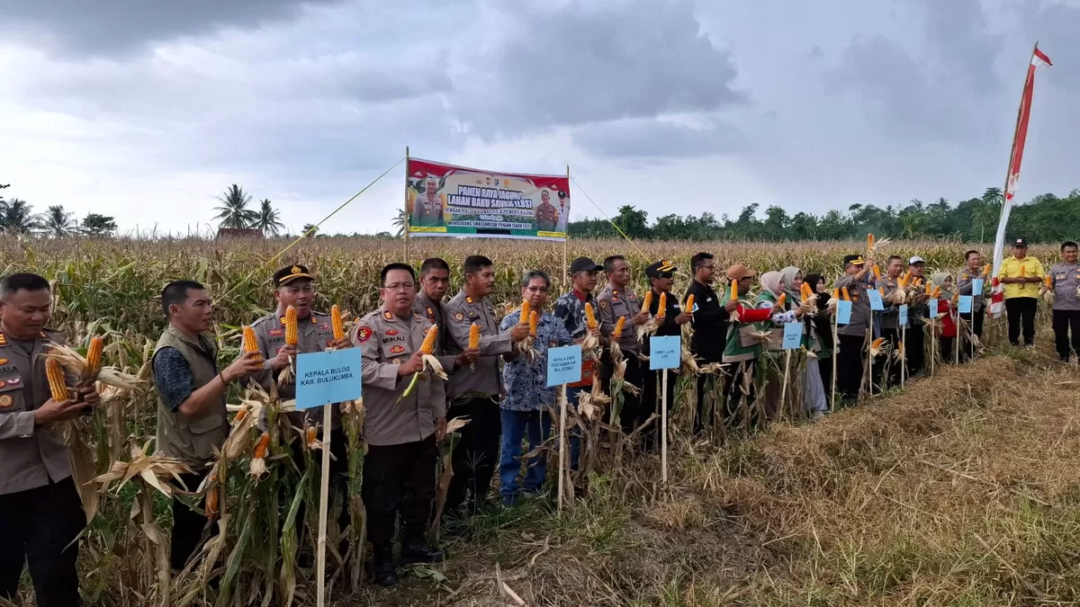 Wakapolres Bulukumba Kompol Syafaruddin, S.H. mewakili Kapolres Bulukumba saat menghadiri Panen Raya Jagung Serentak Kuartal I Tahun 2026 di Dusun Kalicompeng, Desa Balong, Kecamatan Ujung Loe, Kabupaten Bulukumba.