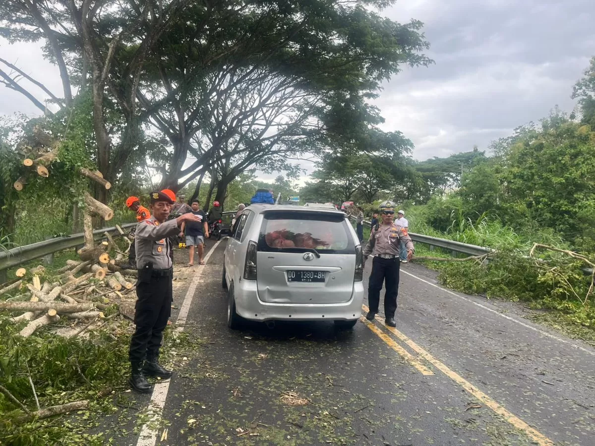 Petugas Polres Bulukumba bersama BPBD melakukan evakuasi pohon tumbang akibat badai angin kencang yang menutup Jalan Trans Sulawesi di Desa Bijawang, Kecamatan Ujung Loe