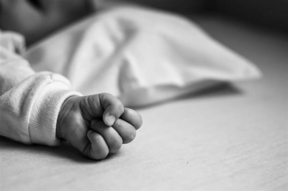 Polresta Yogyakarta menggerebek daycare Little Aresha di Sorosutan, Umbulharjo, setelah ditemukan dugaan kekerasan terhadap anak. Dari 103 anak yang terdaftar, sedikitnya 53 anak terindikasi menjadi korban, sementara 13 orang telah ditetapkan sebagai tersangka.