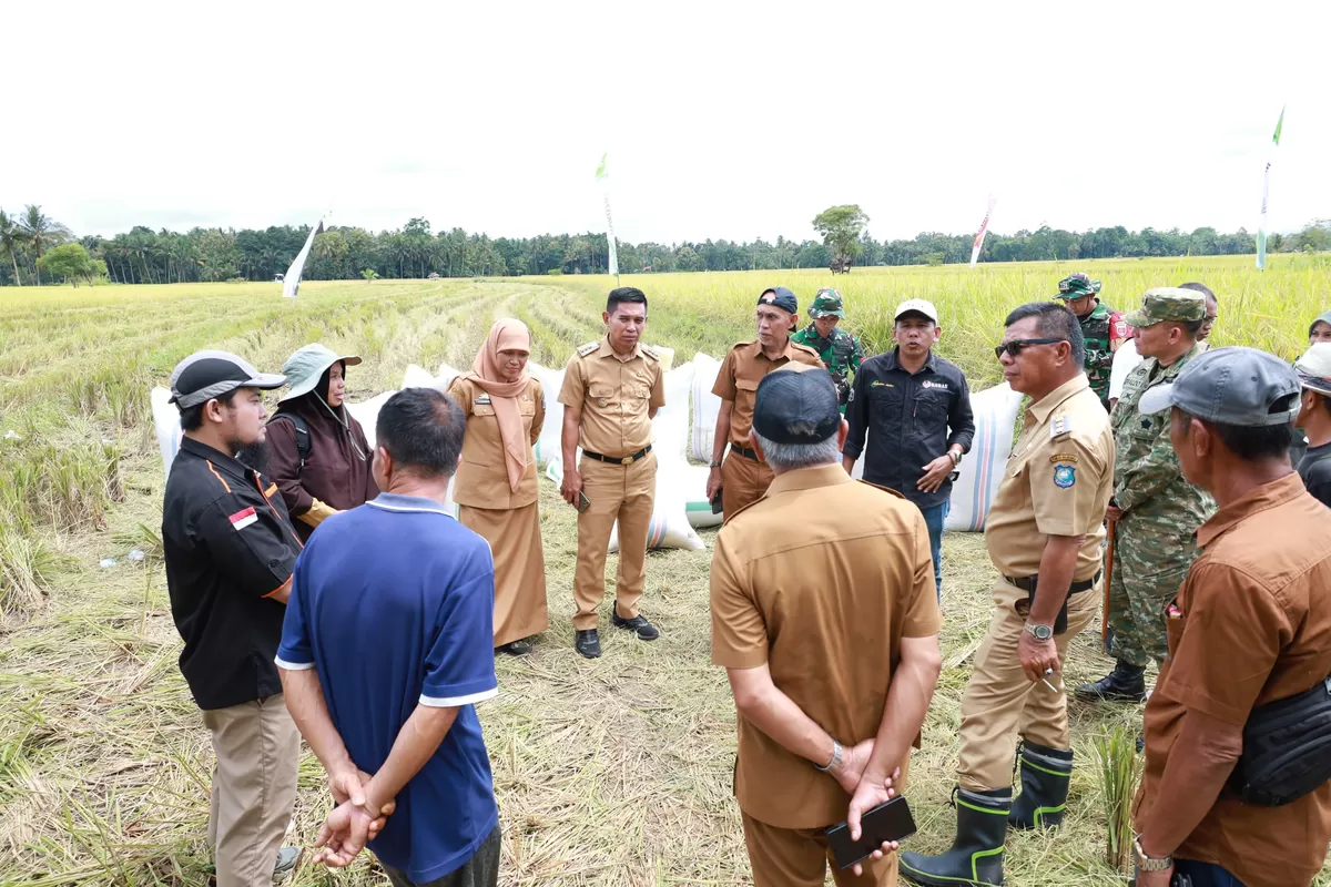 Bupati Bulukumba menghadiri panen raya padi Kelompok Tani Bobo Jangang di Desa Bontoharu Kecamatan Kindang sebagai upaya penguatan ketahanan pangan daerah.