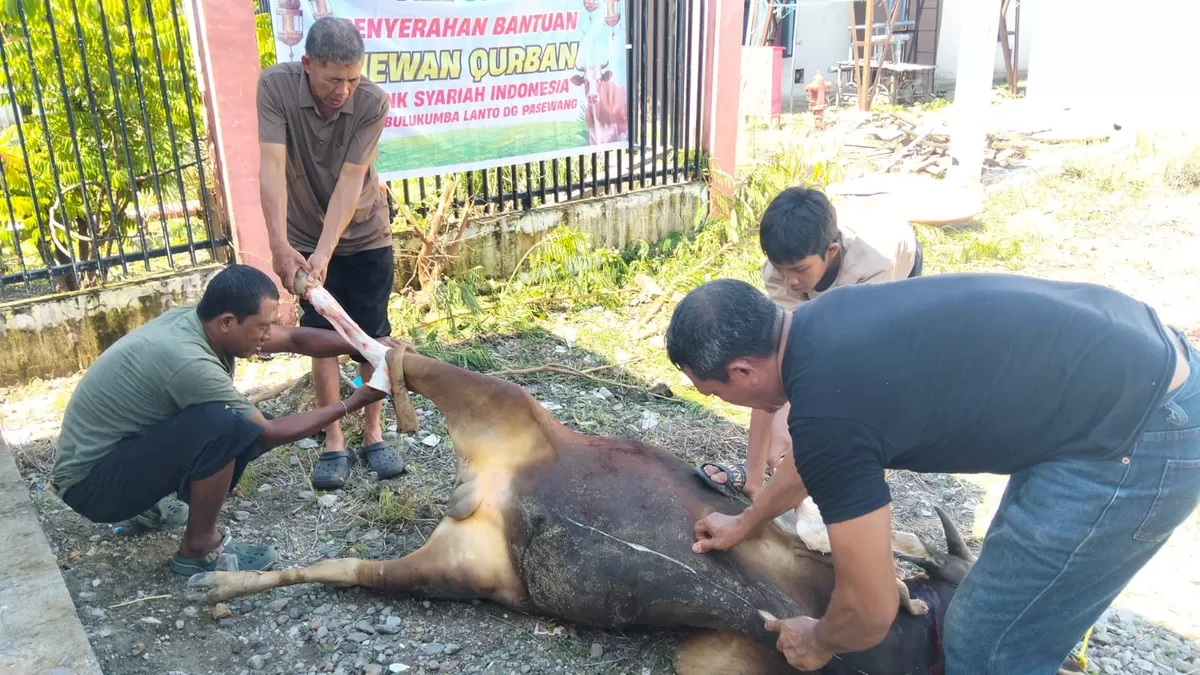 RSUD H. Andi Sulthan Dg Radja Bulukumba menyembelih dua ekor sapi kurban pada momentum Iduladha 1447 H sebagai bentuk kepedulian sosial dan solidaritas terhadap masyarakat, Rabu (27/5/2026).