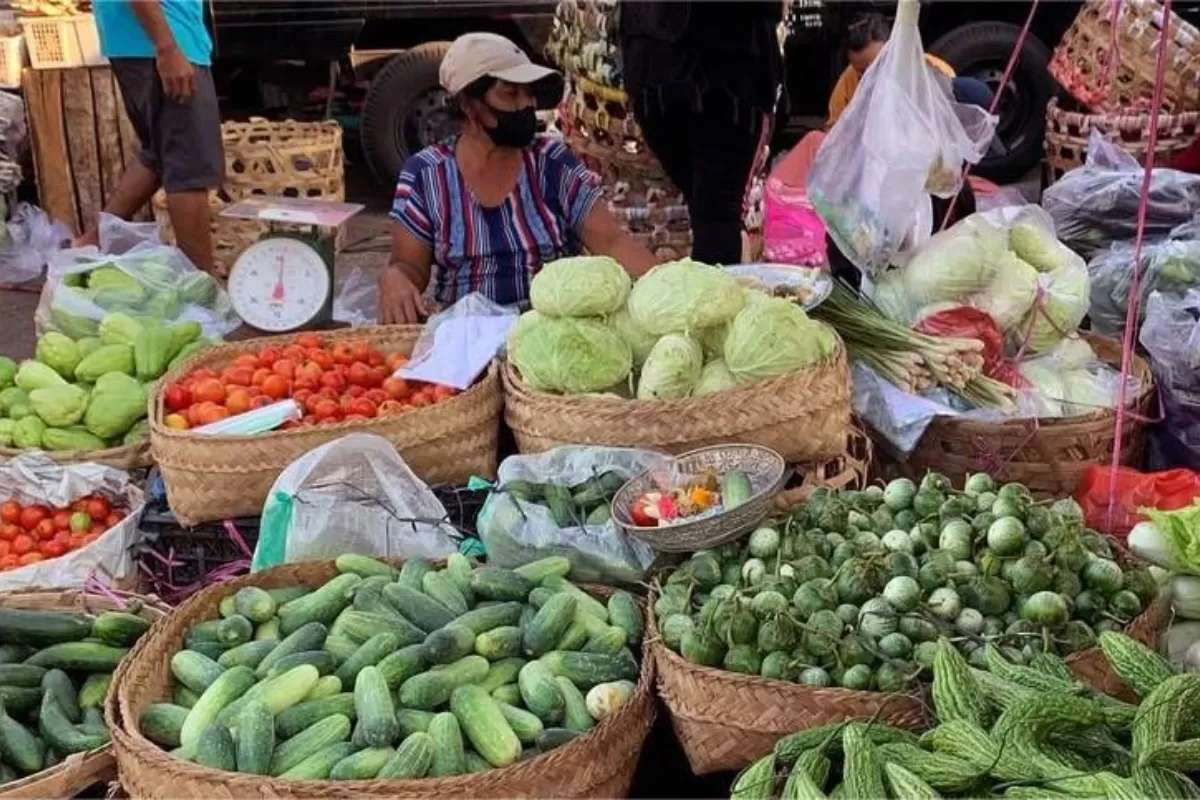 Pemerintah pastikan harga dan stok bahan pangan stabil jelang Idulfitri 2026. Bulog dan Bapanas terus lakukan pengawasan. (Pemprov Jateng)