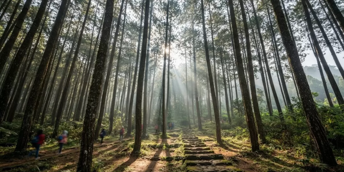 tiga lokasi camping di Puncak yang cocok bagi wisatawan yang mengutamakan kenyamanan. (Gemini AI)
