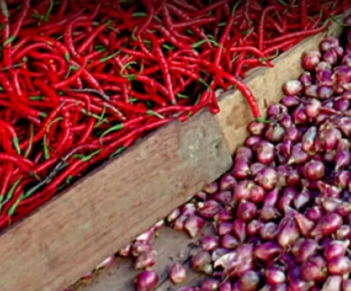 Pasokan cabai dan bawang merah diprediksi akan terganggu di musim kemarau ini