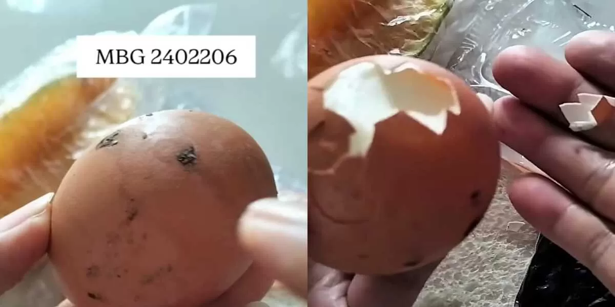 Viral MBG di Magetan, menu telur rebus masih banyak kotoran ayam di kulitnya. () (Instagram/twinarsih20)