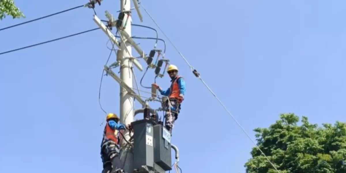 Petugas PLN melakukan pemeliharaan jaringan listrik