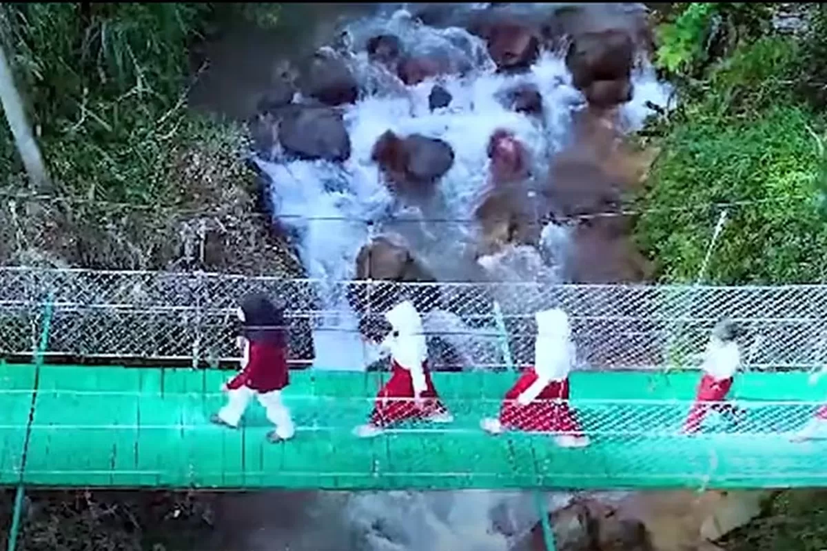 Salah satu jembatan yang sudah dibangun, Jembatan Gantung Cisurupan, Garut, Jawa barat sepanjang 50 meter.  (Foto: Tangkapan Layar/Setkab RI)