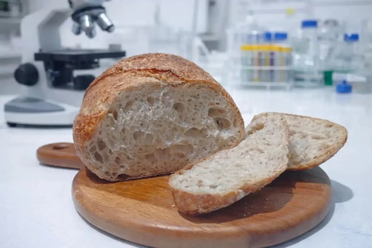 Sourdough dari beras merah Segreng Handayani. (brin.go.id)