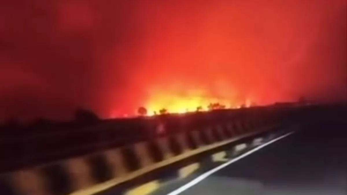 Kebakaran besar di kawasan Tumbang Nusa, Kalimantan Tengah hingga membuat langit berwarna merah. (Threads/naomy_ummuhanan)