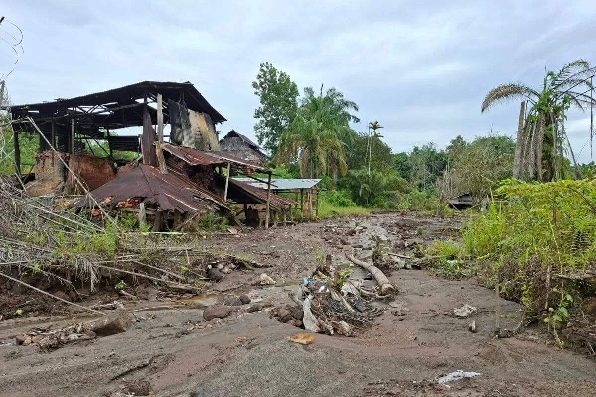 FABA PLTU Tenayan Raya mencemari tanah dan merusak usaha pembuatan batu bata milik warga setempat. (f: Mongabay Indonesia)