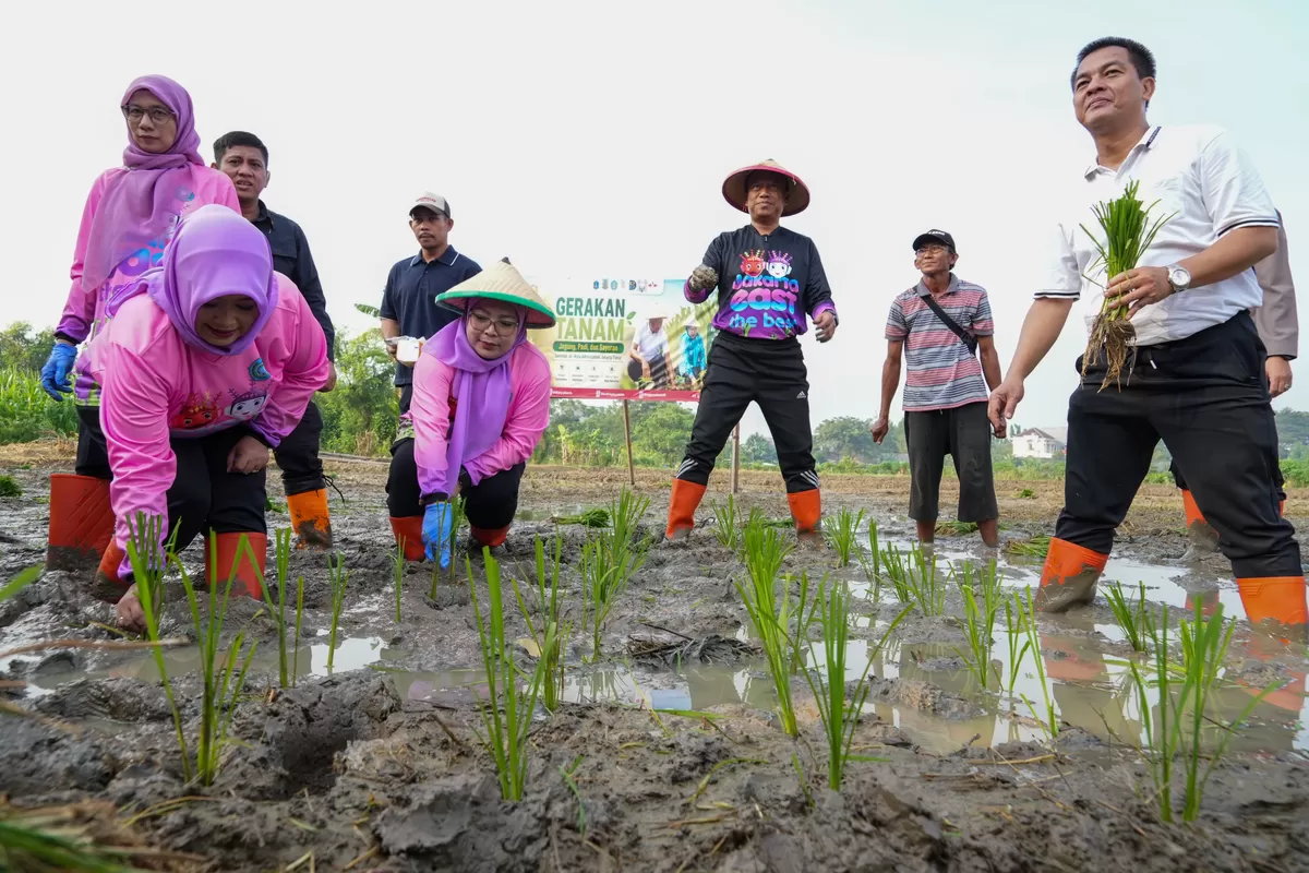 Pemerintah Kota Administrasi Jakarta Timur bersama TP PKK Kota Administrasi Jakarta Timur menggelar Aksi Gerakan Tanam Bersama Jagung, Padi, dan Sayuran, Jumat (8/5/2026). (f: Ist)