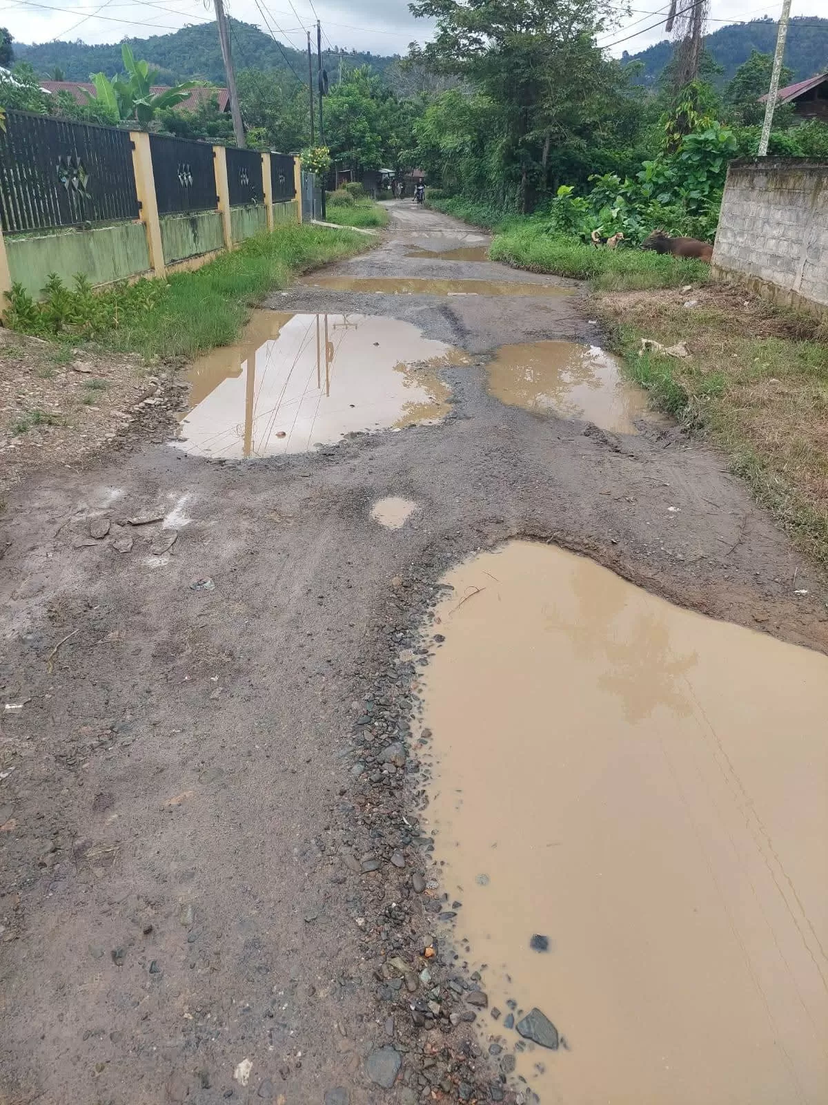 Jalan Lebang yang rusak nertahun-tahun.(f: Ist)
