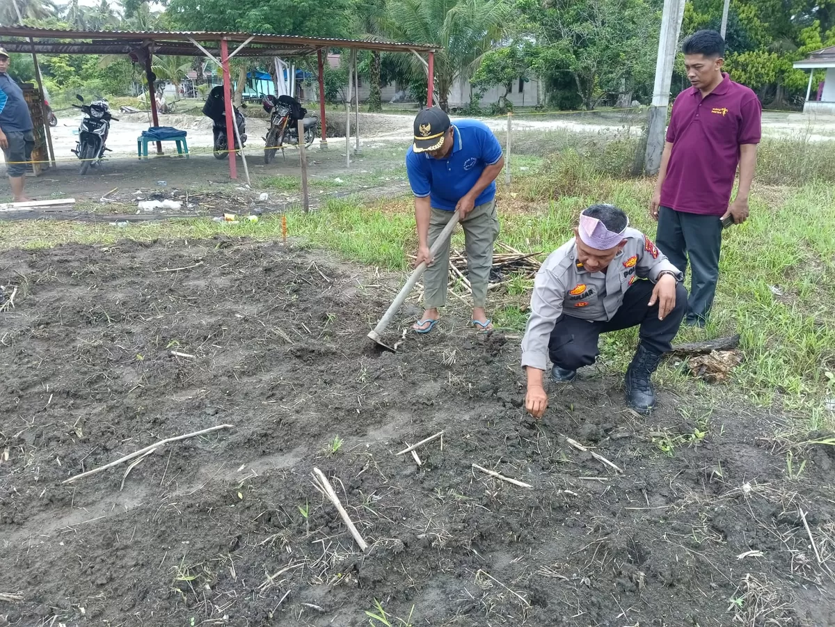 Kanit Binmas Polsek Kunto Darussalam, Ipda Juliar saat mengecek tanaman jagung.
