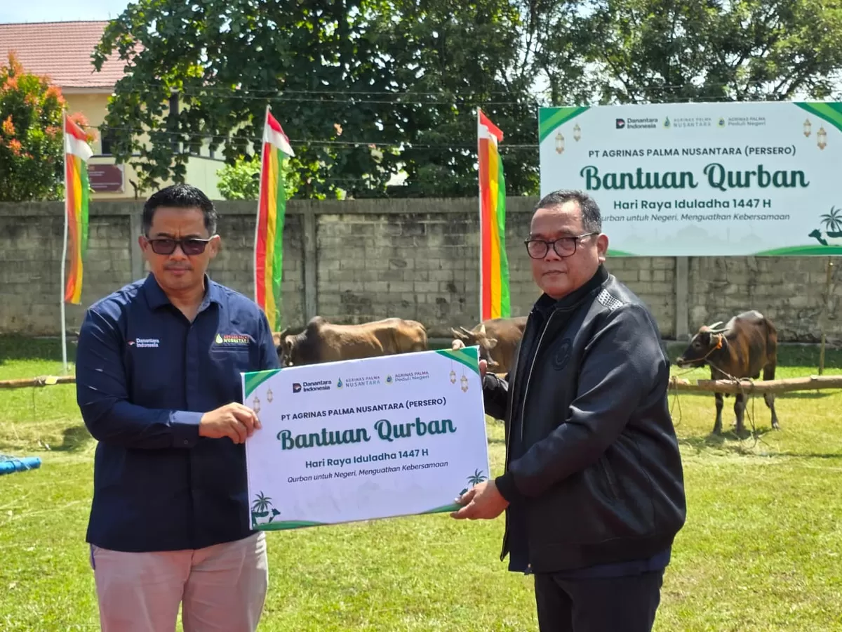 PT Agrinas Palma Nusantara menyalurkan ratusan hewan kurban pada perayaan Hari Raya Iduladha 1447 Hijriah/2026 Masehi ke berbagai wilayah operasional perusahaan di Indonesia. (f: Ist)