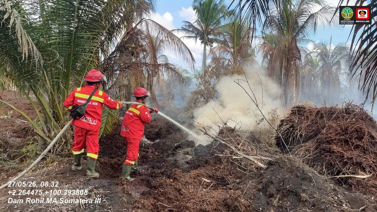 Tim Manggala Agni melakukan pemadaman Karhutla. (f: Ist)